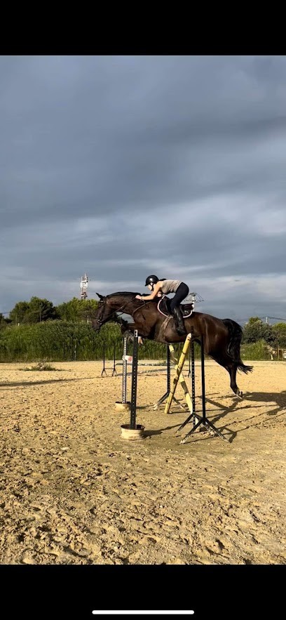Les Écuries Du Mas, Centre Equestres à Lançon-Provence