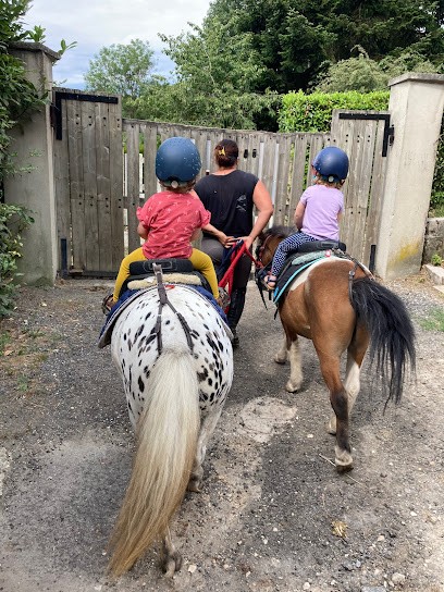 Les Ecuries De La Virginia, Centre Equestres à Villeneuve-sur-Bellot