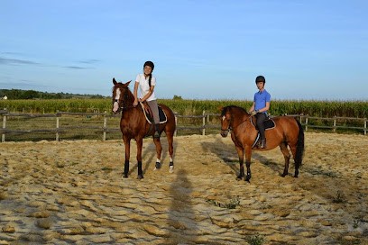 Ecuries De La Liotais, Centre Equestres à Ercé-en-Lamée