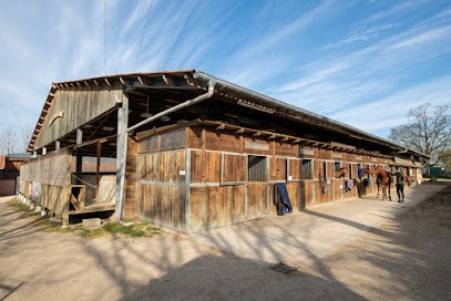 Écurie Du Domaine EARL, Centre Equestres à Savigny