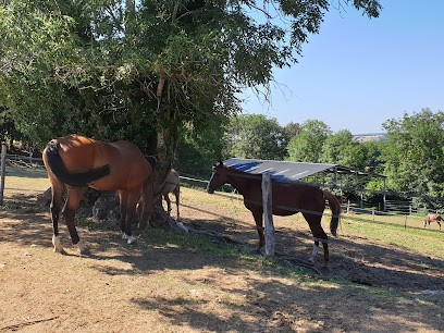 Écurie De La Doire, Centre Equestres à Saint-Cernin