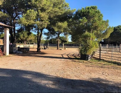 Elevage de l'affût / écuries de propriétaires, Centre Equestres à Vendargues