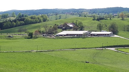 Centre Equestre Traize, Centre Equestres à Traize