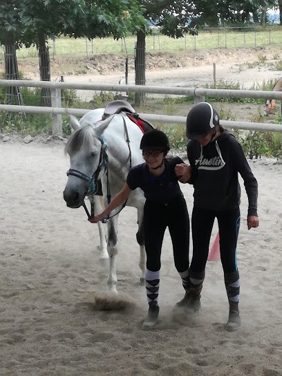 ECURIE DU VAL, Centre Equestres à Hautot-sur-Mer