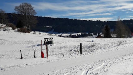 Tinguely Francois, Centre Equestres aux Rousses