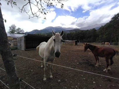 ELEVAGE DU RUBREN, Centre Equestres à Saint-Pons