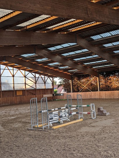 Ecurie Gwénaël GARO - Elevage Du Cyan, Pension pour Chevaux à Saulx-les-Chartreux