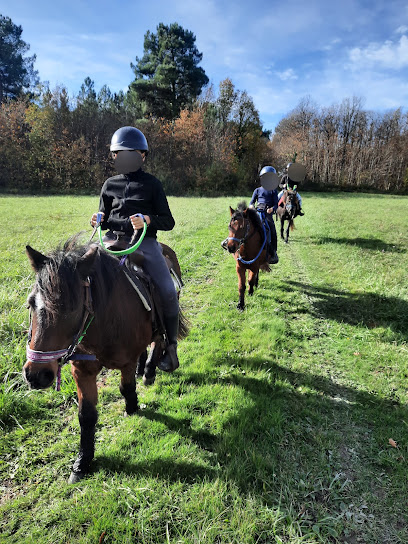 Ranch Des Clouzeaux-Vm Western Pour Tous, Centre Équestre à Orches