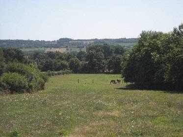 Stables Saint Val - Bretagne, Centre Equestres à Guichen