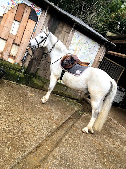 Poney Club Du Léman, Centre Equestres à Sciez