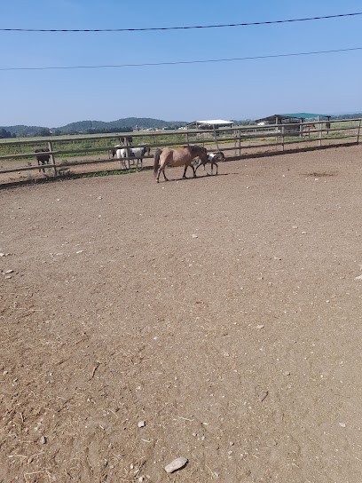 Poney Club Les Lavandes, Centre Equestres à Saint-Gervais-sur-Roubion