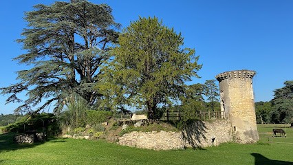 Ecurie Area La Barre, Centre Equestres à Ciron