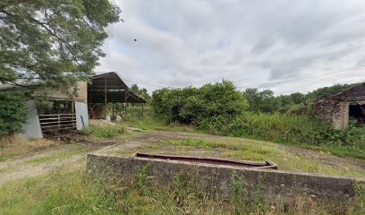 Equestrian Center Des Jaulinières, Centre Equestres à La Boissière-des-Landes