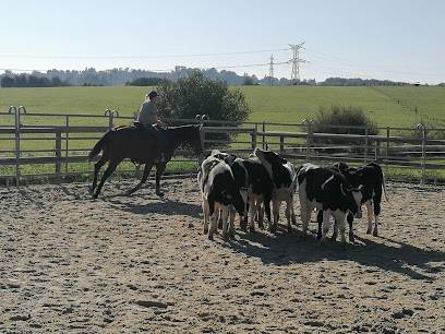 Juca Ranch, Centre Equestres aux Ayvelles