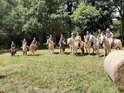 Écurie Du Pont Guern, Centre Equestres à Caurel