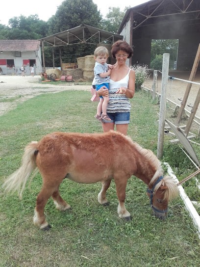 Stables Sports Des Quatre Temps Pony Club À Razac Sur L'isle, Centre Equestres à Razac-sur-l'Isle