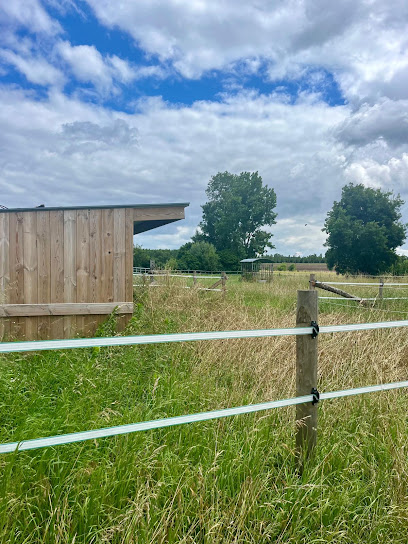 Les Pins Pension Pour Chevaux à Longué-Jumelles