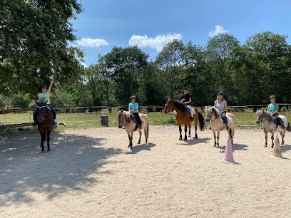 Equestrian Center Chez Cecile, Centre Equestres à Gièvres