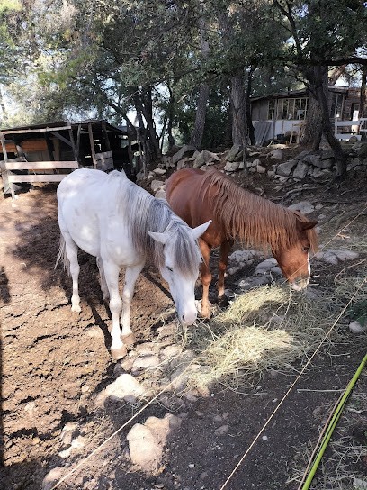 Rêve De Cavaliers, Centre Equestres à Mimet