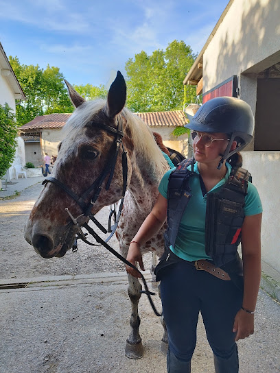 Criniere A Corps Pension Pour Chevaux à Piégros-la-Clastre