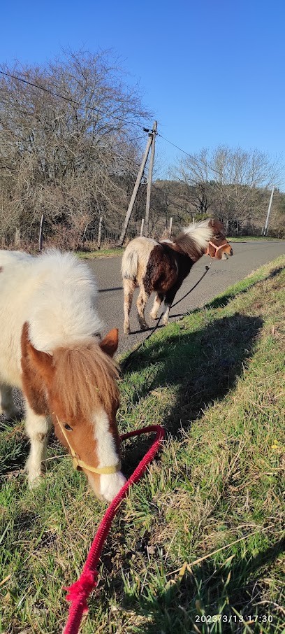 Equestrian Center Le Raziguet, Centre Equestres à Verdun-en-Lauragais