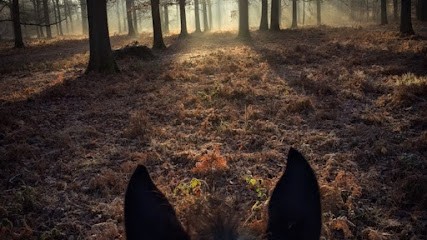Equitherapie Michel Méryl En Toute Equi-T, Centre Equestres à Étiolles