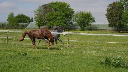 Les Écuries d' Alix - Centre remise en Forme Equin, Pension pour Chevaux à Meilhan-sur-Garonne