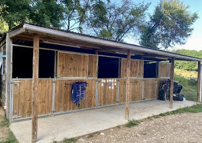 Ecurie des Melysses, Pension pour Chevaux à Pisieu