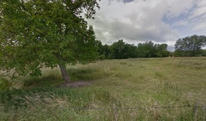 LES ECURIES DES PETITS PRES, Pension pour Chevaux à Cormicy