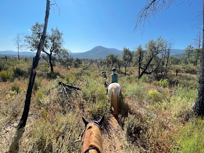 Les Chevaux De Violette, Centre Equestres aux Mayons