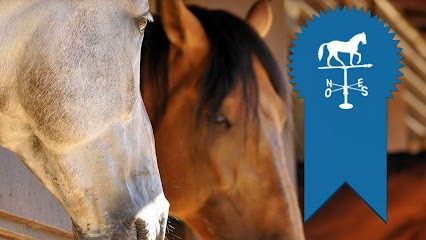 Stud De Croix D'hins, Centre Equestres à Marcheprime