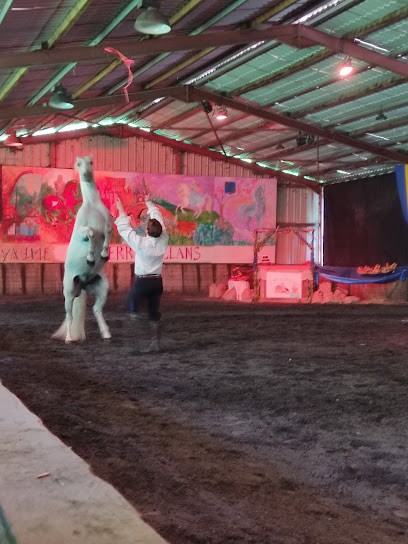 Le Moulin De La Licorne, Centre Equestres à Jungholtz