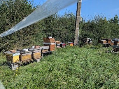 Écuries des Verts coteaux, Pension pour Chevaux à Macheren