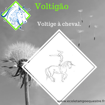 Voltigão - École De Voltige Équestre - Centre Équestre à Levoncourt