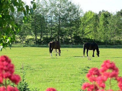 La Clef Des Champs, Pension pour Chevaux à Montvendre