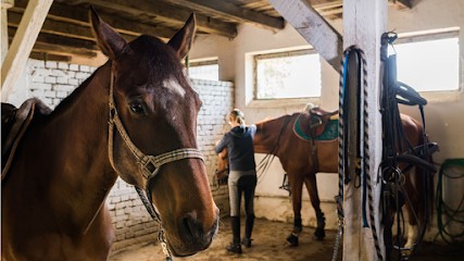 Les Écuries De La Têt, Centre Equestres à Perpignan