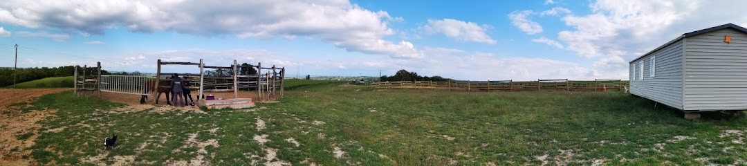 Le Ranch D' Helie, Centre Equestres à Saint-Romain-en-Gal