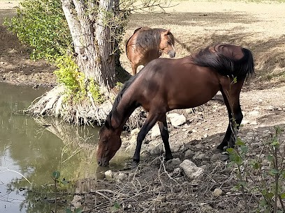 CE LA MENAGERIE -siege Social, Pension pour Chevaux à Bures
