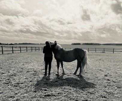 Domaine équestre Dolexia & Equitherapie, Centre Equestres à Landelles