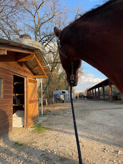 Écurie Du Moulin - Pension Cheval à Saint-Didier-Sur-Chalaronne, Centre Equestres à Saint-Didier-sur-Chalaronne