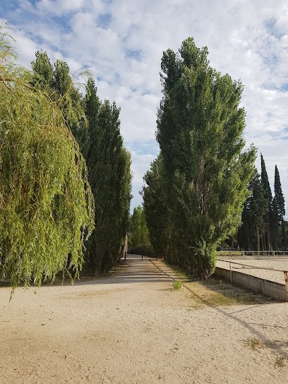 Euro Quarter Center, Centre Equestres à Saint-Rémy-de-Provence