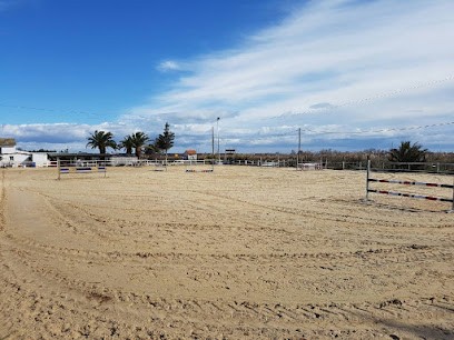 Ecurie De La Palmera, Centre Equestres à Frontignan
