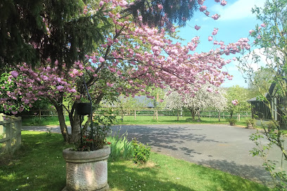 Jolly Farm Stables, Pension Pour Chevaux à Villers-sur-Mer