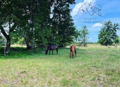 Ecurie de propriétaires Horse Ball St Magne, Pension pour Chevaux à Saint-Magne