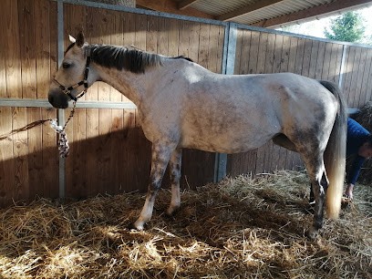 ECURIE LES ROUILLONS, Centre Equestres à Fouchères