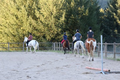 Ecurie Des Balzanes, Centre Equestres à Condat