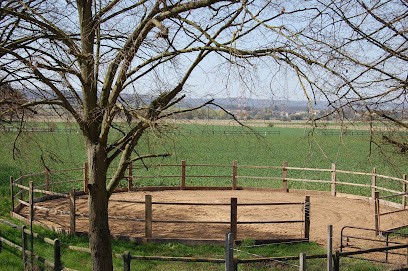 Le Petit Haras de Port-Mort, Pension pour Chevaux à Port-Mort
