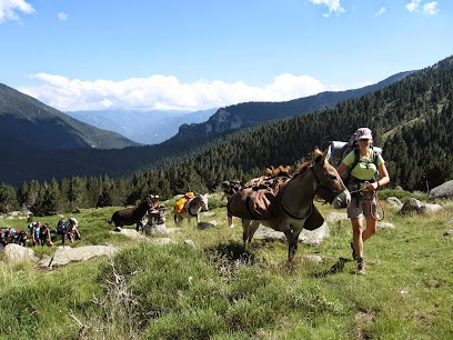 Altipyr Les Ânes Du Moli D'oli / Country Pierre Accompagnateur En Montagne, Centre Equestres à Mosset