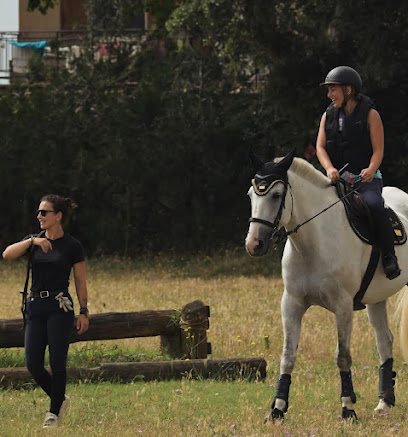 Haras Du Lin Rouge - Nina Vial Cavaliere Et Instructrice D'équitation, Centre Équestre à Rochefort-en-Valdaine