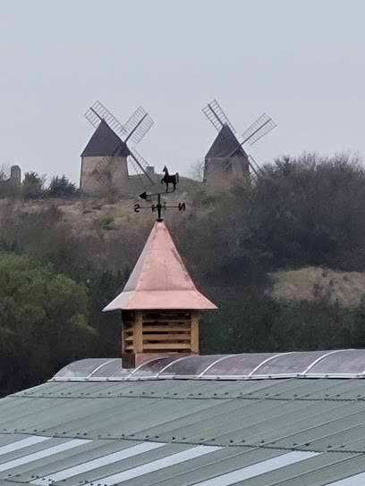 Ecurie Du Pontignol, Centre Equestres à Mas-Saintes-Puelles